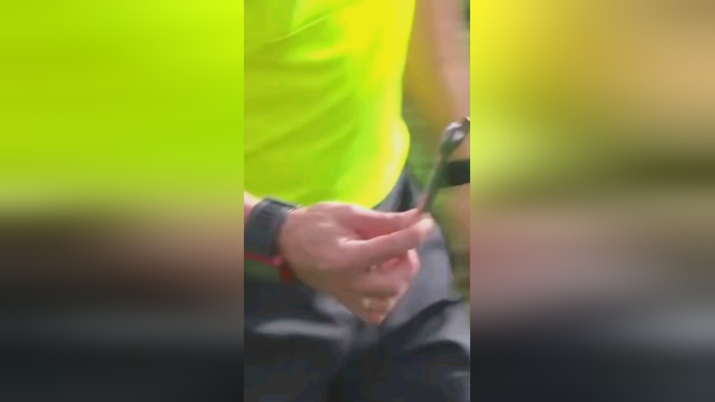 碧托夫白费